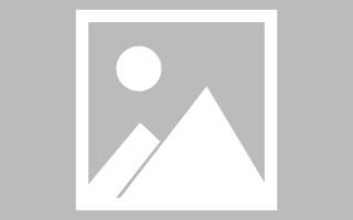 邹平编制网站建设（编制网站建设包括哪些）